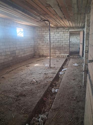 İcarəyə anbar və emalatxanalar: Obyekt – hündür hasarla əhatələnmiş, iri sahəli istehsalat/ankara — 27