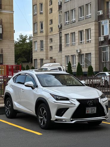 28 трактор: Lexus NX: 2019 г., 2 л, Автомат, Бензин, Кроссовер