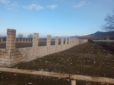 dağ: 43 sot, Kənd təsərrüfatı, Mülkiyyətçi, Kupça (Çıxarış), Texniki pasport — 2
