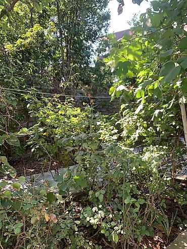 Günlük kirayə evlər: Həyətyanı sahəsi olan kiçik ev - Həyətdə şaquli dayaqlı — 9