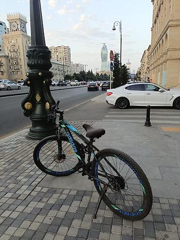 adidas velo: Velosibet suraxanıdadır real aliciya endirim olacaq prablemi 3dis olan — 2