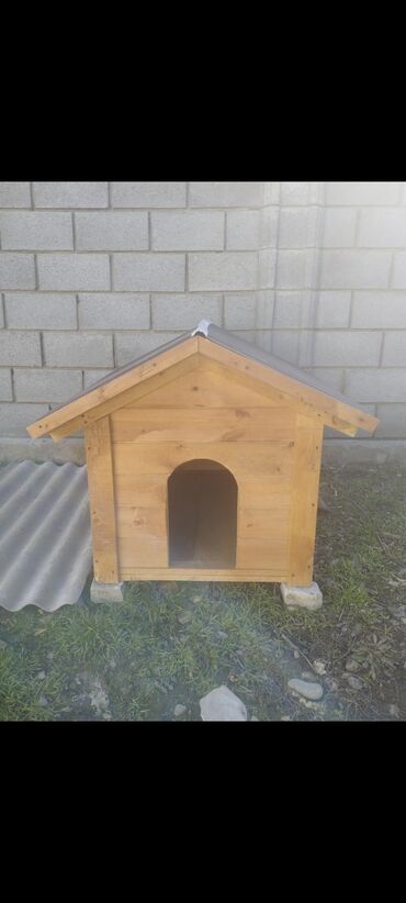 дом кролика: НОВЫЙ 🐶дом для собаки