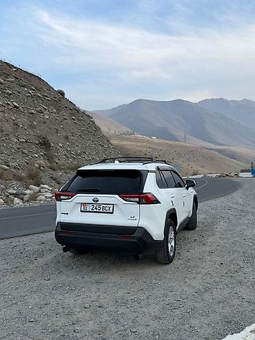 toyota hailander: Toyota RAV4: 2019 г., 2.5 л, Автомат, Гибрид, Кроссовер — 4