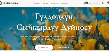 Разработка сайтов, приложений: Веб-сайты, Лендинг страницы — 9