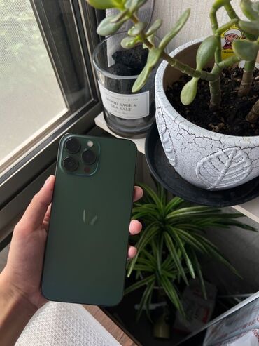 green card 2018: IPhone 13 Pro Max, Б/у, 512 ГБ, Alpine Green, Чехол, Коробка, 84 %