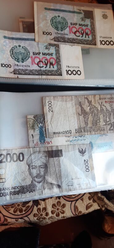 Qovluqlar və fayllar: Albom 71 ədə list və 76 ədəd milli, rus və xarici əskinaslar. Qiymət — 7