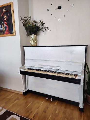 Пианино: Upright piano – klassik dizaynlı, ağ-qara rəng kombinasiya ilə. - — 3