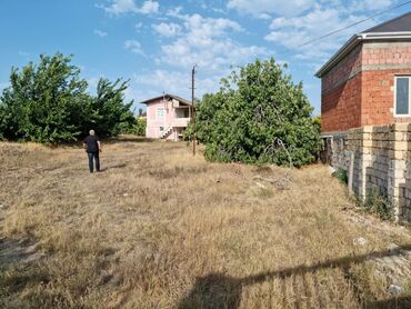 Torpaq sahələrinin satışı: 34 sot, Mülkiyyətçi, Kupça (Çıxarış), Bələdiyyə — 3