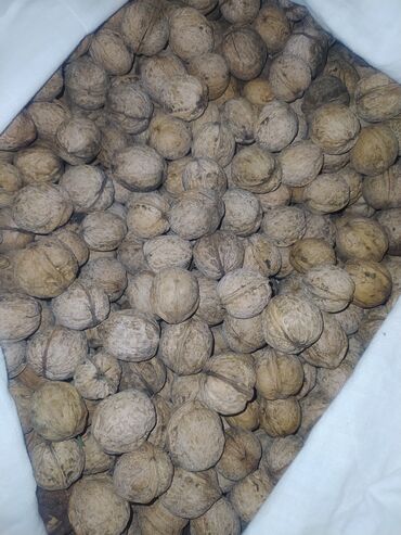 этажерка для сухофруктов: Продаю орехи. Тонкокорые, легко чистятся. 85 с за 1кг