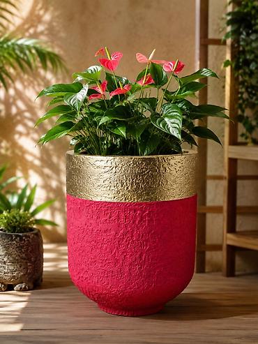 Fiberglasdan müxtəlif ölçü, rəng və teksturalarda dekorativ dibçəklər lalafo.az -da Fiberglasdan müxtəlif ölçü, rəng və teksturalarda dekorativ dibçəklər