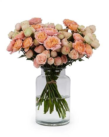 Технолог: Технолог — 10