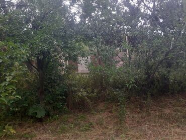 Torpaq sahələrinin satışı: 6 sot, Tikinti, Makler, Kupça (Çıxarış) — 13