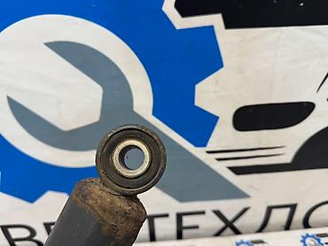 Амортизаторы, пневмобаллоны: Передний амортизатор DAF 2015 г., Б/у, Оригинал, Германия — 6