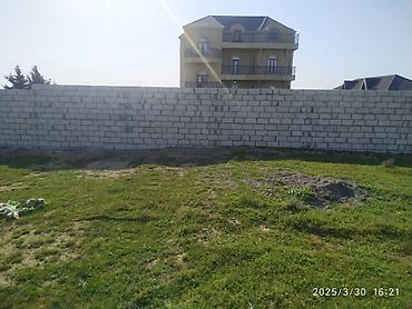 absheron: 26 sot, Mülkiyyətçi, Kupça (Çıxarış) — 4