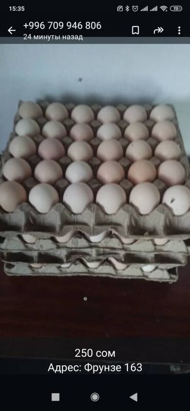 фазан жумуртка: Яйцо 30 шт