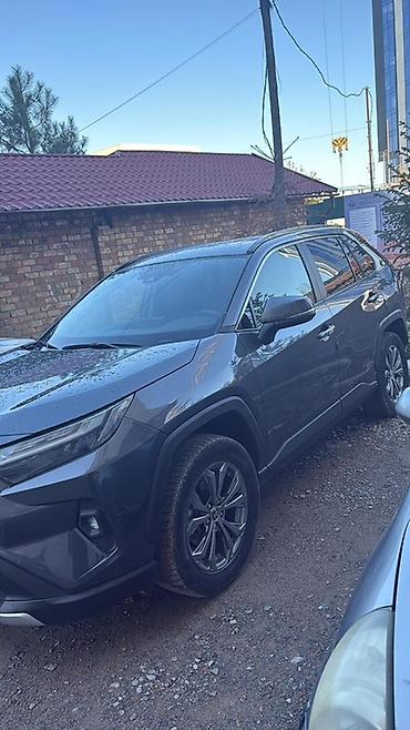 multi: Toyota RAV4: 2024 г., 2.5 л, Автомат, Бензин, Кроссовер — 9