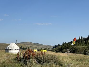 здаю аренда: 2 бөлмө, Менчик ээси, Чогуу жашоосу жок, Толугу менен эмереги бар