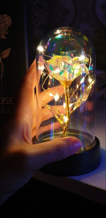 вьющаяся роза: Декоративный ночник, светильник, лампа. Стеклянная крышка имитация