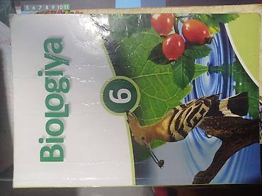 İdman və hobbi: Biologiya 6-cı sinif, 2011 il — 4