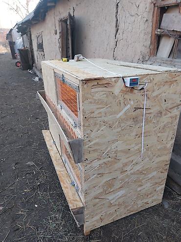 Ящики: Деревянный Ящик — 2