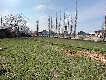 Продажа участков: 5 соток, Для строительства, Красная книга at lalafo.kg — 8 Продажа участков: 5 соток, Для строительства, Красная книга — 8