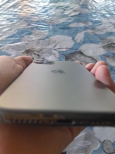 Apple iPhone: IPhone 11 Pro, 256 GB, Qara, Face ID — 8