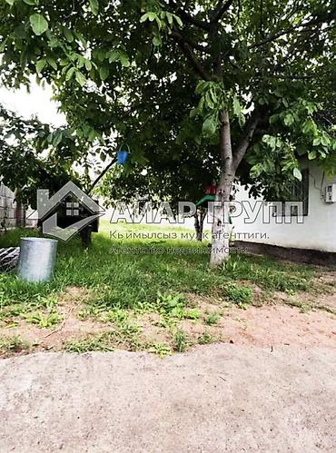 Продажа коттеджей и домов: ‼️ ПРОДАЁТСЯ ДОМ НА ИССЫК-КУЛЕ ‼️ 🔷 с. Бактуу-Долоноту (Хутор) 🔷 2-я at lalafo.kg — 2 Продажа коттеджей и домов: ‼️ ПРОДАЁТСЯ ДОМ НА ИССЫК-КУЛЕ ‼️ 🔷 с. Бактуу-Долоноту (Хутор) 🔷 2-я — 2