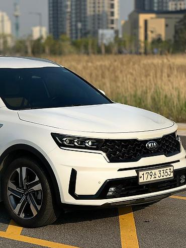 Kia: Kia Sorento: 2020 г., 1.6 л, Гибрид — 3