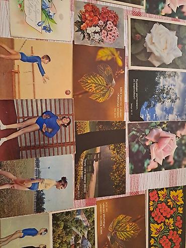 Пальто: Пальто, Классика, Кашемир, L — 5