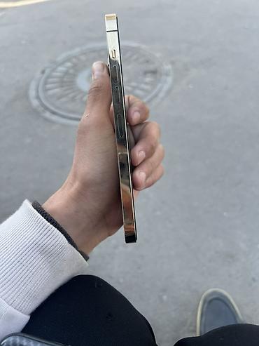 Apple iPhone: IPhone 13 Pro Max, Серебристый, Чехол — 3