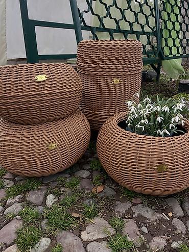 Корзины: Корзина, Новый — 4