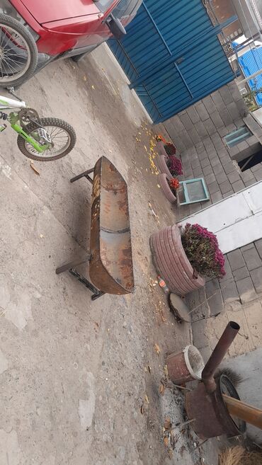 продажа баранов в бишкеке: Продаю | Ягненок, Овца (самка), Баран (самец) | Гиссарская, Арашан, Меринос | Для разведения, На забой | Матка, Ярка, Кастрированные