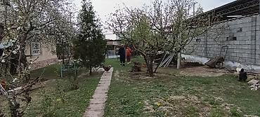 Продажа коттеджей и домов: Продаётся дом Арча Бешик с участком с двором и постройками. участок — 8