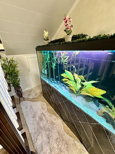 Долгосрочная аренда домов: 200 м², 8 комнат, Евроремонт, Лоджия, Парковка — 10