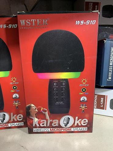 Караоке-микрофон WSTER WS-910 с беспроводной акустикой - Формат