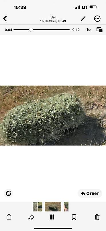 Корма для с/х животных: Сено в тюках - Тип: луговое сено, прессованные прямоугольные тюки. - — 1