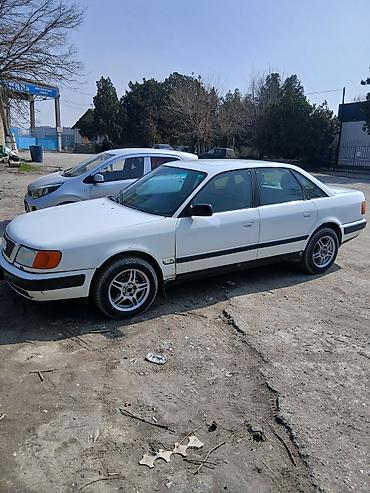 Audi: Audi 100: 1992 г., Седан — 2