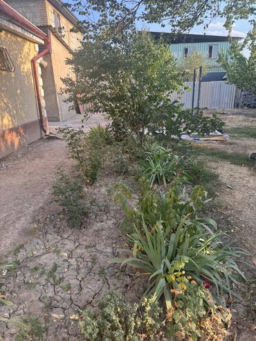 Продажа домов: Дом, 120 м², 5 комнат, Собственник, Евроремонт at lalafo.kg — 10 Продажа домов: Дом, 120 м², 5 комнат, Собственник, Евроремонт — 10