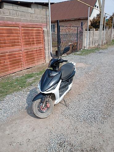 Скутеры: Скутер Beetle Bolt, черно-белый Описание:торг есть - Современный — 8