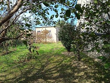 villalar: 1 otaqlı, 8 kv. m, Təmirsiz — 5