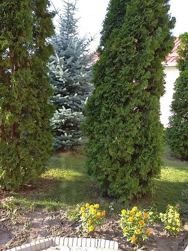 иностранцам: 400 м², 6 комнат и более, Ала-Арча ТРЦ, Семейным — 7