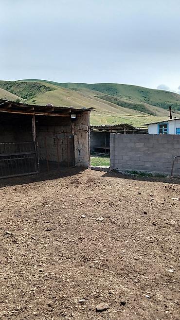 Продажа участков: 100 соток, Красная книга — 4