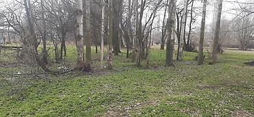 полки в аренду: Жилой дом с приусадебным участком в сельской местности. - Одноэтажный — 8
