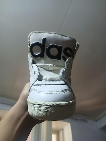 куртки adidas: Мужские кроссовки, 38, Adidas Originals, Б/у, цвет - Белый — 1