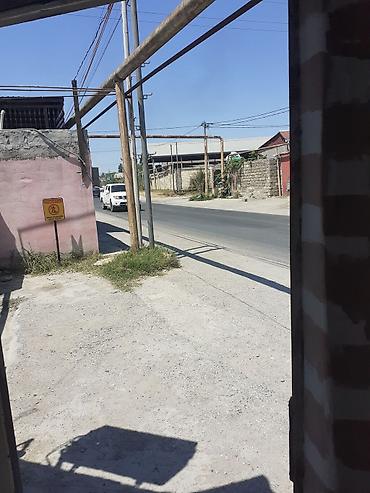 berber iş: Bərbərlər | Saç kəsimi — 7
