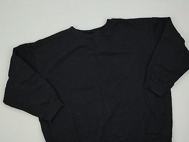 koszulki pitbulla: Bluza damska
, rozmiar L — 1