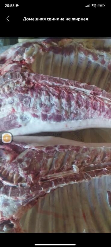 продаю мясо свинины: Домашние свинина не жирная Здравствуйте принимаю заказы на мясо