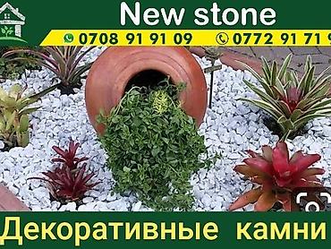 Галька: Декор для сада для ландшафта и дизайна сада. Натуральный камни любая — 12