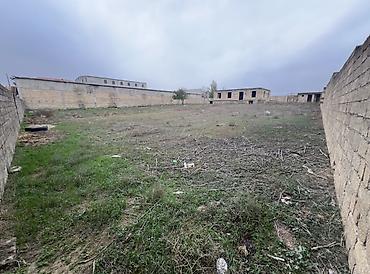 əmlak az xırdalan: 27 sot, Tikinti, Mülkiyyətçi, Kupça (Çıxarış) — 6
