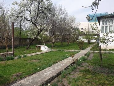 Torpaq sahələrinin satışı: 12 sot, Tikinti, Makler, Kupça (Çıxarış) — 7